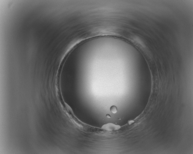 X0000062831182200601171411