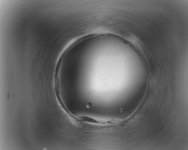 X0000062831183200601171411