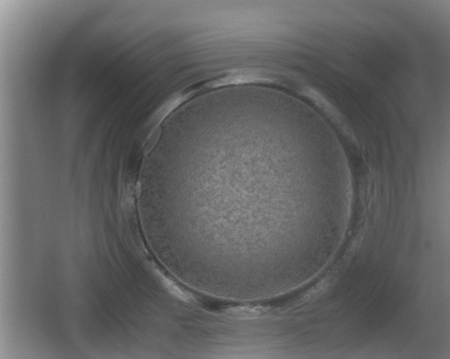 X0000062831185200601171411