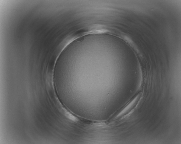 X0000062831186200601171411