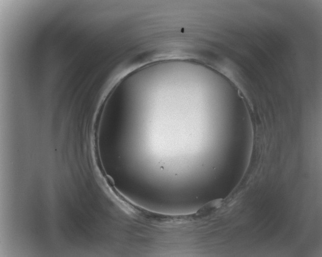 X0000062831187200601171411