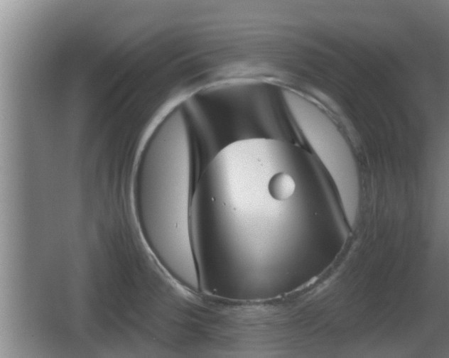 X0000062831188200601171411