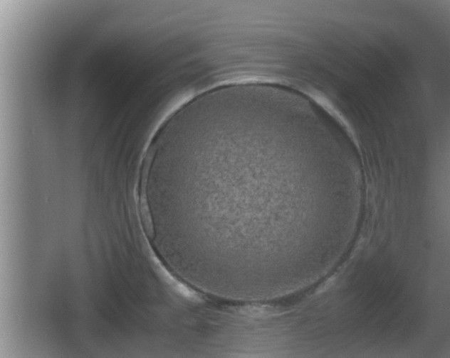 X0000062831189200601171411