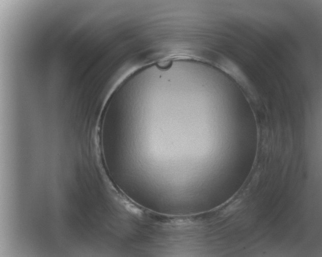 X0000062831190200601171411