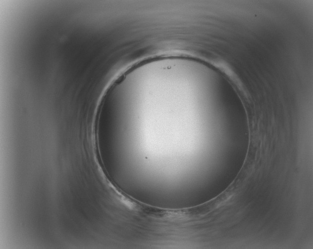 X0000062831191200601171411