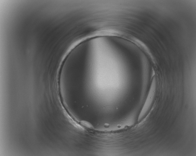 X0000062831192200601171411