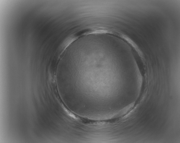 X0000062831193200601171411