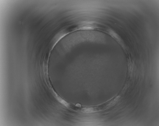 X0000062831194200601171411