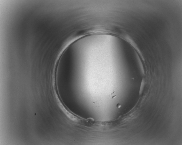 X0000062831195200601171411