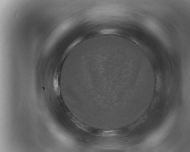 X0000062831198200601171411