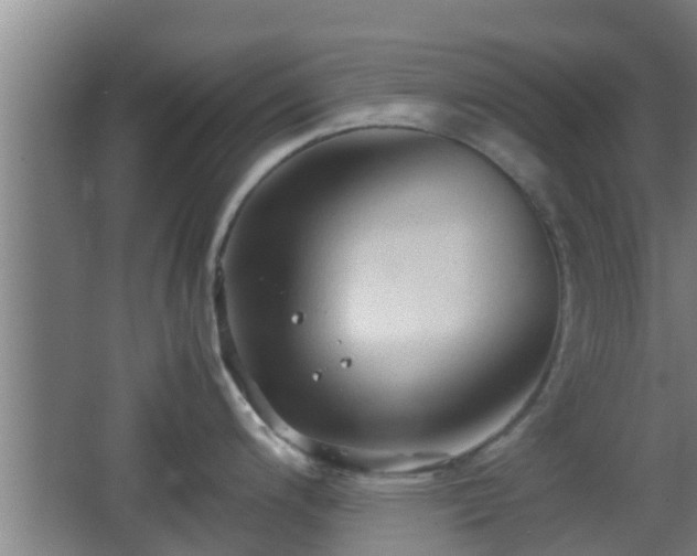 X0000062831200200601171411