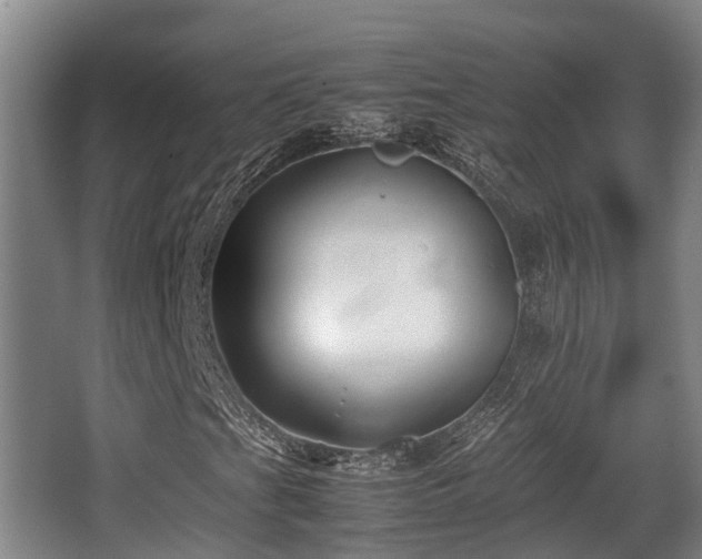 X0000062831201200601171410