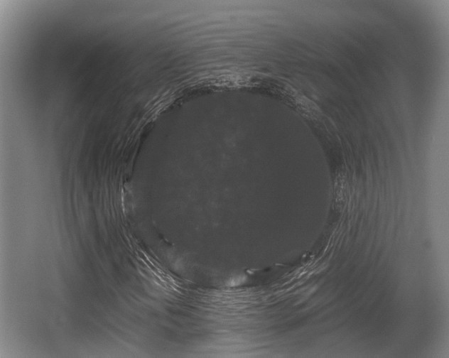 X0000062831202200601171410