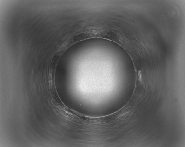 X0000062831203200601171410