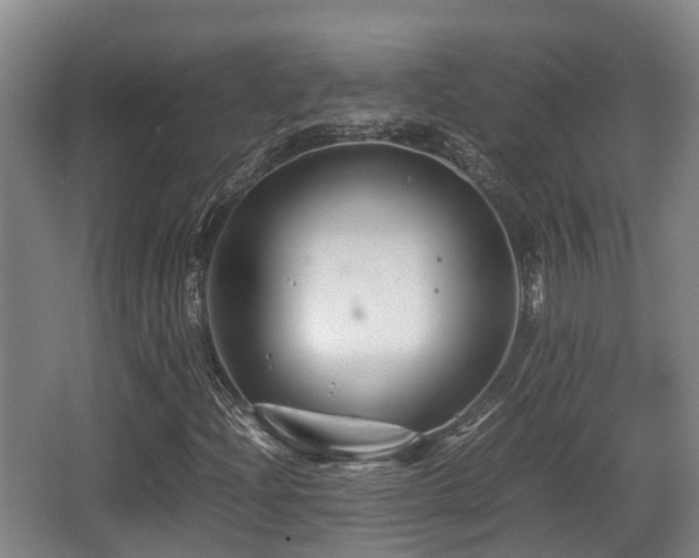 X0000062831204200601171410