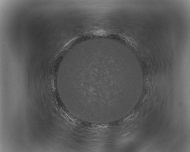 X0000062831205200601171410