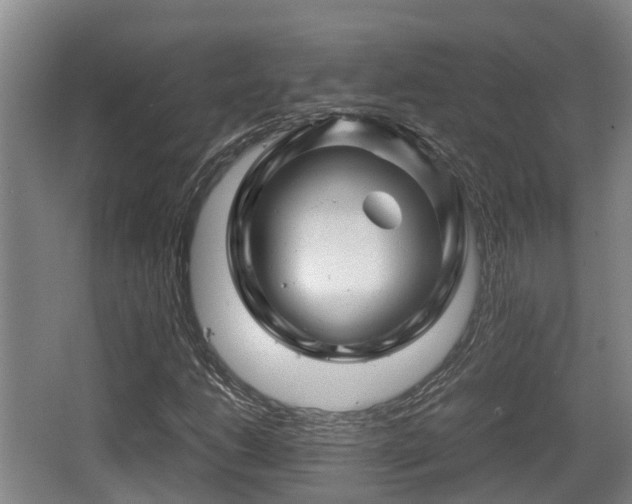 X0000062831206200601171410