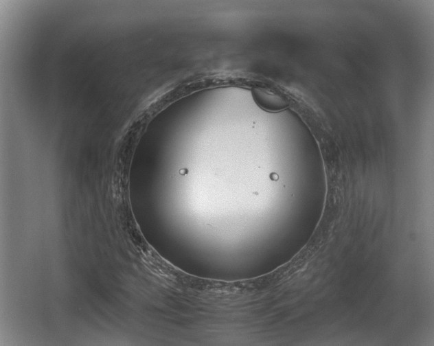 X0000062831207200601171410