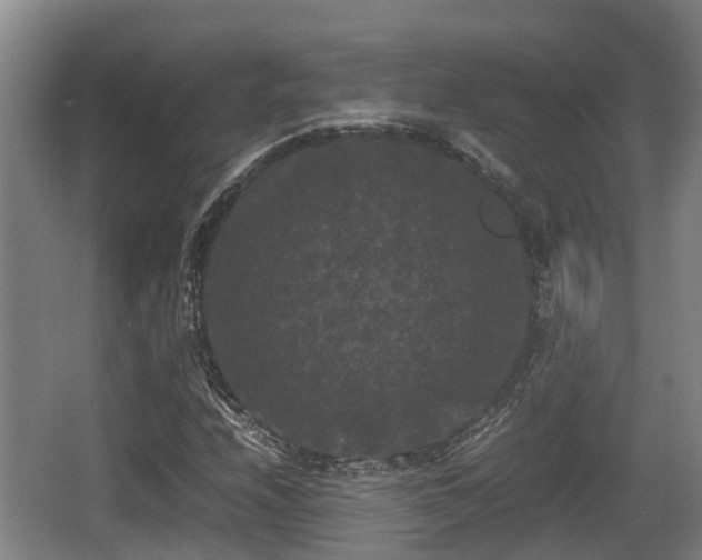 X0000062831208200601171410