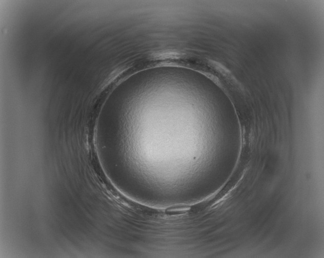 X0000062831209200601171410