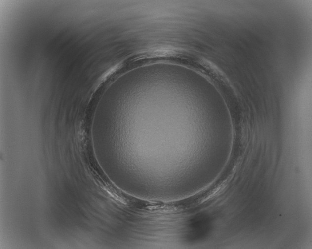 X0000062831210200601171410