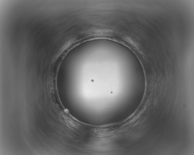 X0000062831211200601171410