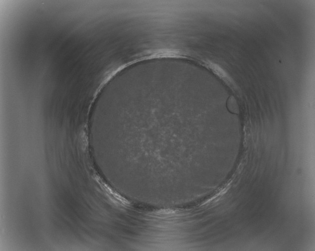 X0000062831212200601171410