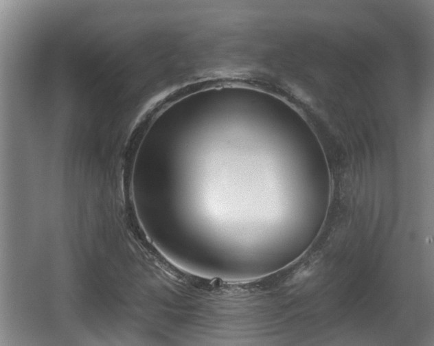 X0000062831214200601171411