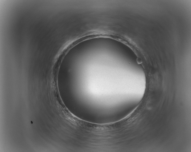 X0000062831215200601171411