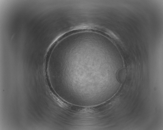 X0000062831216200601171411