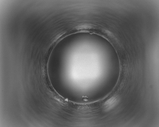 X0000062831217200601171411