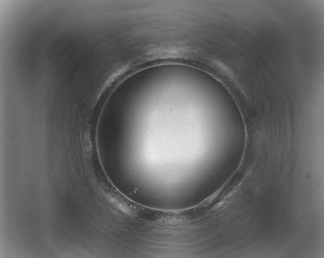 X0000062831218200601171411