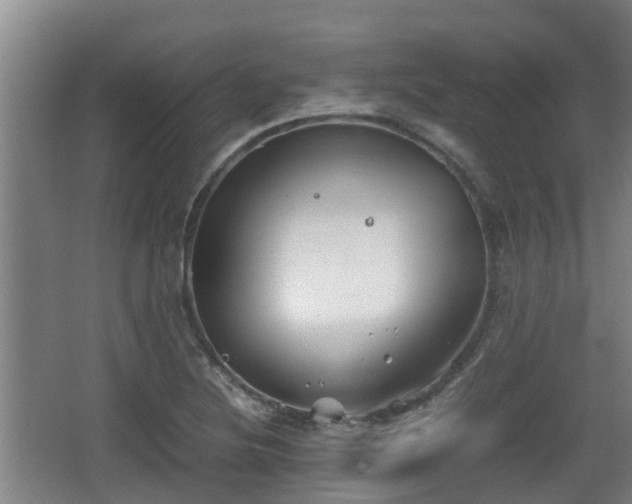 X0000062831220200601171411