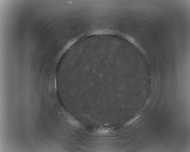 X0000062831221200601171411