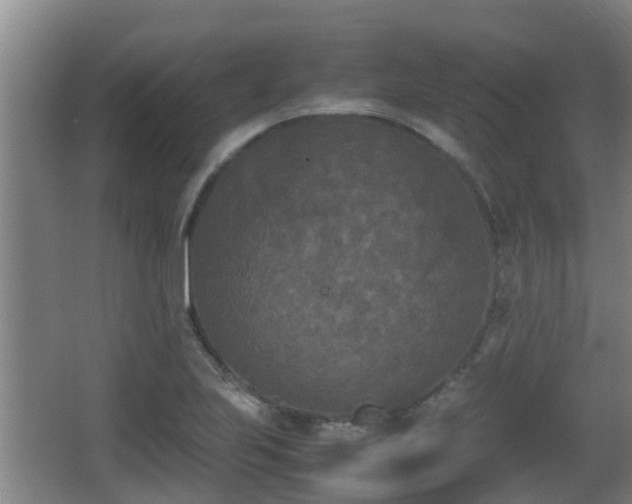 X0000062831223200601171411