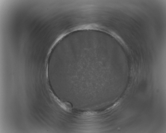 X0000062831224200601171411