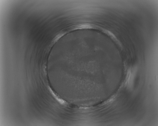 X0000062831225200601171411