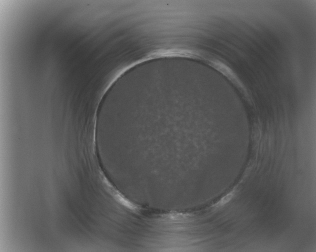 X0000062831228200601171411