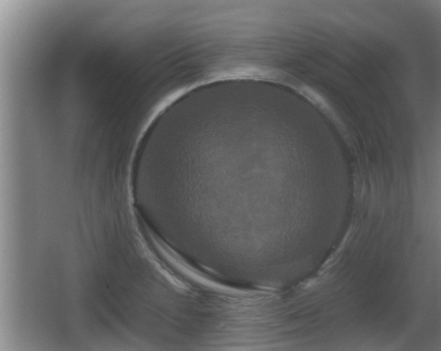 X0000062831230200601171411