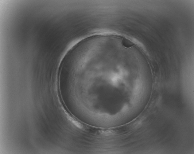 X0000062831231200601171411