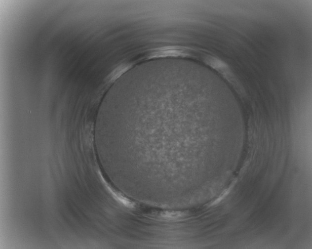 X0000062831233200601171411