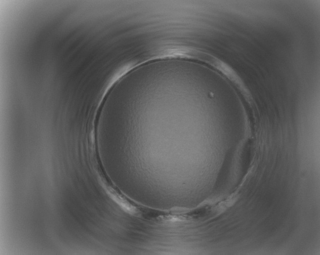 X0000062831234200601171411