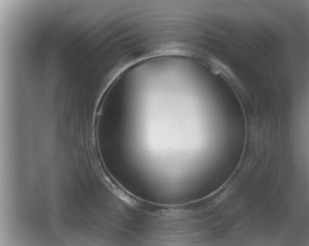 X0000062831236200601171411