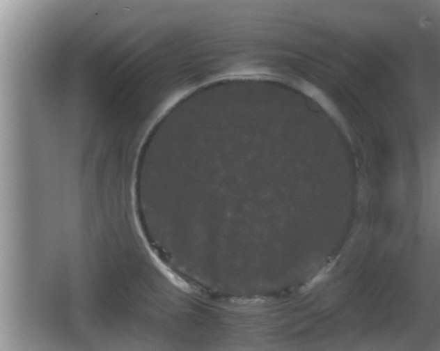 X0000062831237200601171411