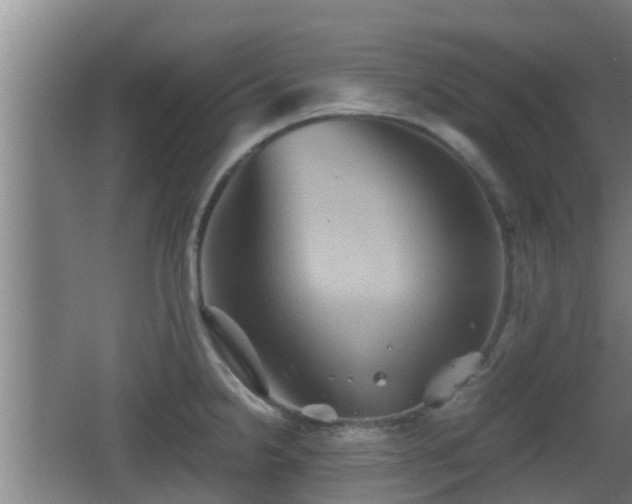 X0000062831238200601171411