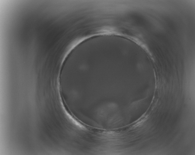 X0000062831239200601171411