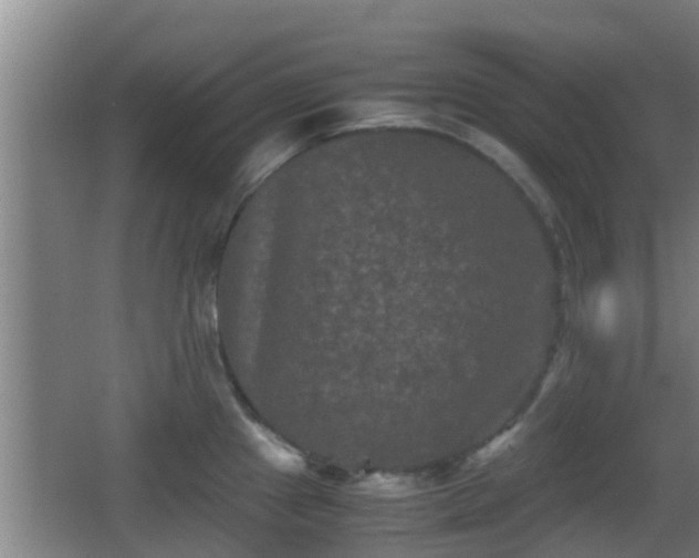 X0000062831241200601171411