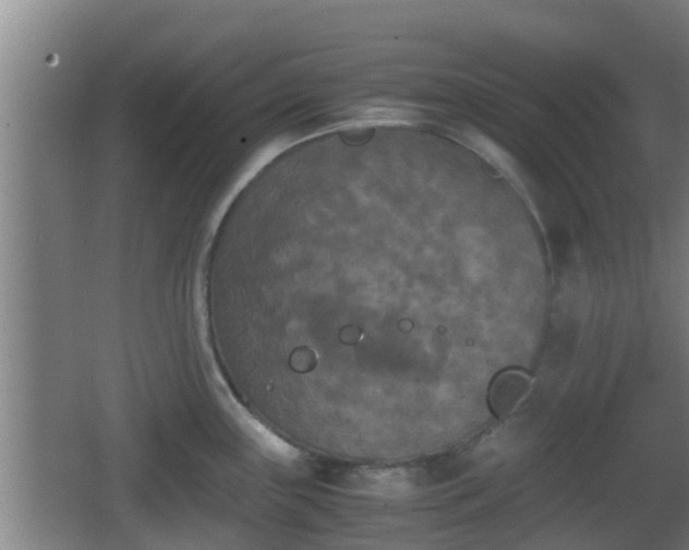 X0000062831243200601171411