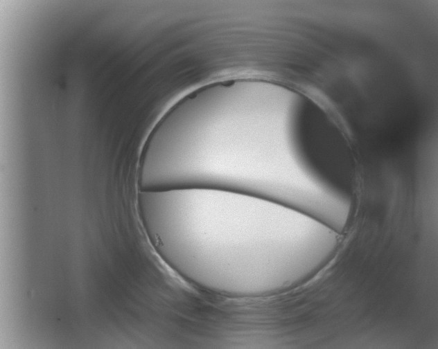 X0000062831244200601171411