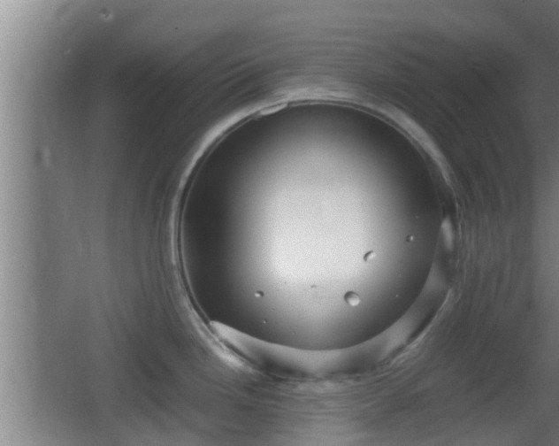 X0000062831246200601171411